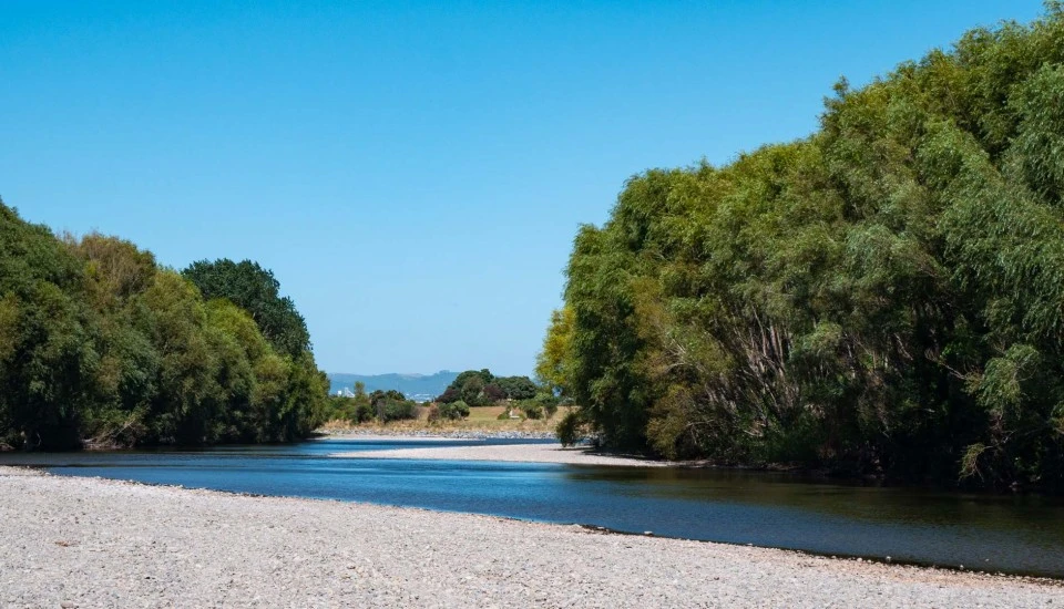 Hutt River at low flow running between trees