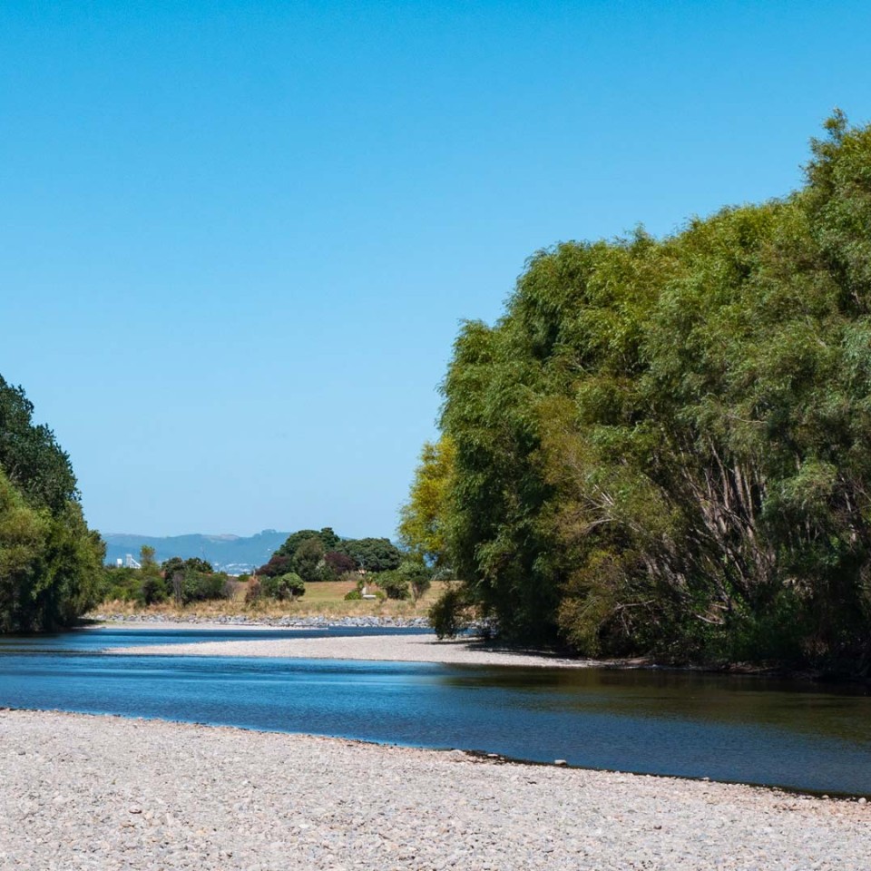 Hutt River at low flow running between trees