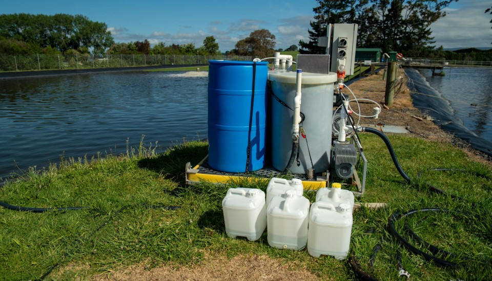 MBBR Pilot Katikati WWTP